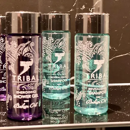 Western Hotel Bruggen (Viersen)